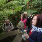 IMG_20250423_152530